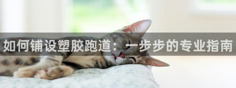 红足1世足球网址：如何铺设塑胶跑道：一步步的专业指南