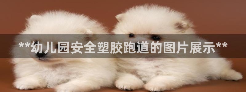 百度红足一1使用说明