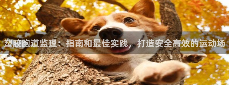 红足一丰：塑胶跑道监理：指南和最佳实践，打造安全高效的运动场