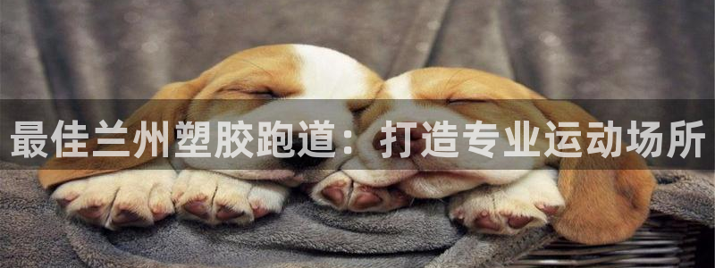 红足一1世即时比分：最佳兰州塑胶跑道：打造专业运动场所