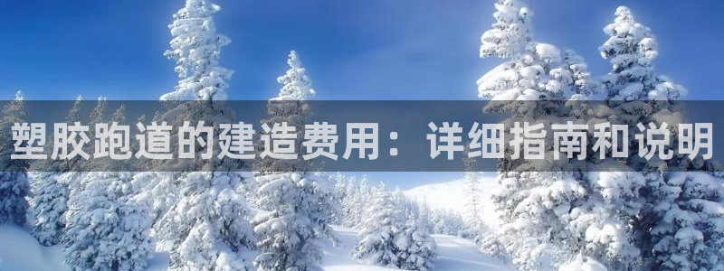 红足一1世官网比分：塑胶跑道的建造费用：详细指南和说明