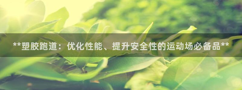 红足一1世66814新宝：**塑胶跑道：优化性能、提升安全性的运动场必备品**