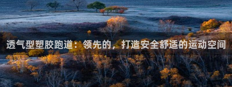 红足体育网：透气型塑胶跑道：领先的，打造安全舒适的运动空间