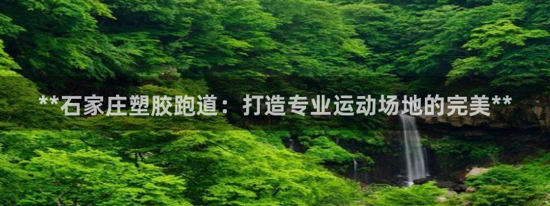 新2足球平台出租网站：**石家庄塑胶跑道：打造专业运动场地的完美**