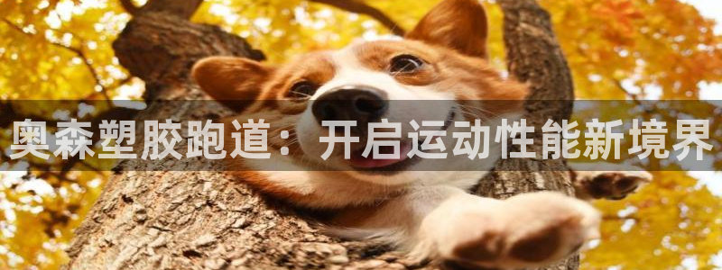 4633333开奖结果4176一点红：奥森塑胶跑道：开启运动性能新境界