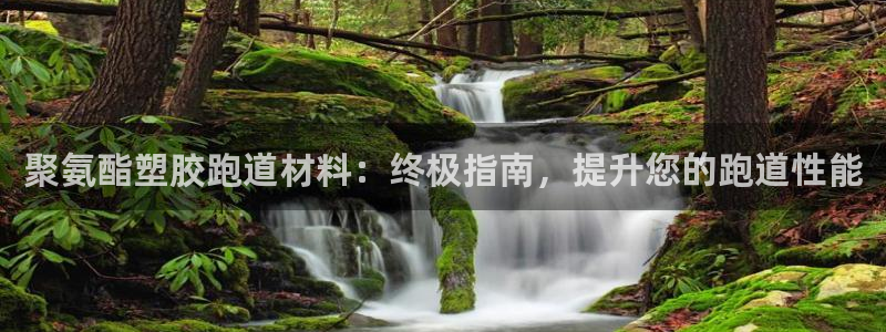 红足一1世皇冠：聚氨酯塑胶跑道材料：终极指南，提升您的跑道性能