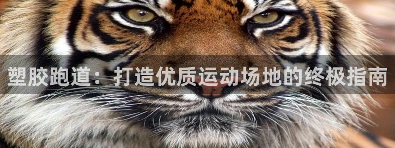 红足一1世官网足球推荐真人：塑胶跑道：打造优质运动场地的终极指南