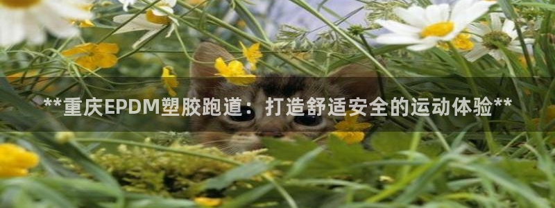 红足一1世手机开奖：**重庆EPDM塑胶跑道：打造舒适安全的运动体验**