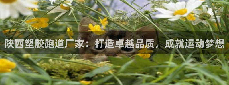 红足一1世手机皇冠：陕西塑胶跑道厂家：打造卓越品质，成就运动梦想