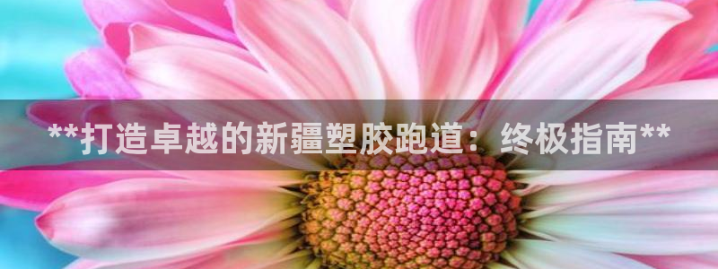 红足1一世：**打造卓越的新疆塑胶跑道：终极指南**