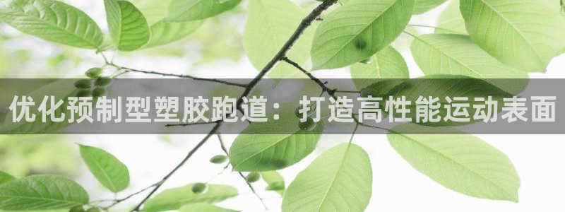红足1一世 2站：优化预制型塑胶跑道：打造高性能运动表面