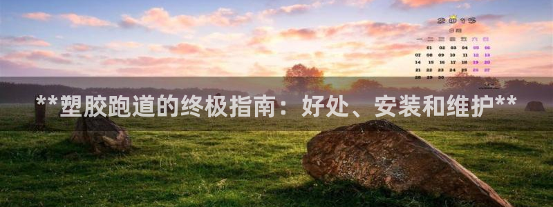 红姐现场直播开奖记录：**塑胶跑道的终极指南：好处、安装和维护**