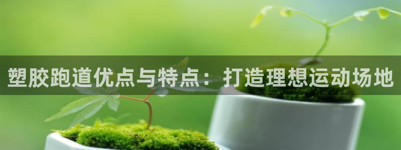 333814红·足一世比分：塑胶跑道优点与特点：打造理想运动场地