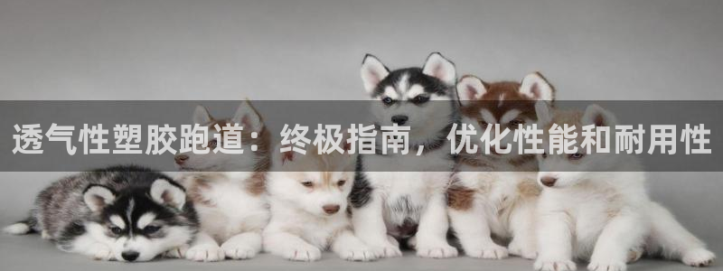 红足一1世官网足球推荐真人：透气性塑胶跑道：终极指南，优化性能和耐用性