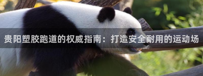 红足1一世开奖版：贵阳塑胶跑道的权威指南：打造安全耐用的运动场