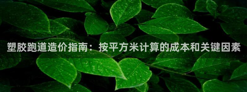 55814红足1世：塑胶跑道造价指南：按平方米计算的成本和关键因素
