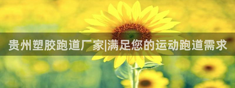 红足一1世皇冠登录：贵州塑胶跑道厂家|满足您的运动跑道需求