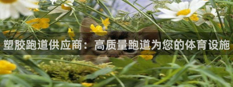 红足一1世皇冠地址：塑胶跑道供应商：高质量跑道为您的体育设施