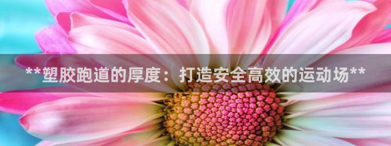红足体育网：**塑胶跑道的厚度：打造安全高效的运动场**