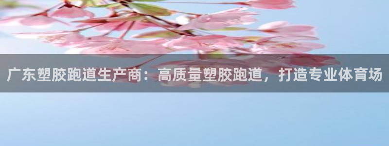 333814红足1世：广东塑胶跑道生产商：高质量塑胶跑道，打造专业体育场
