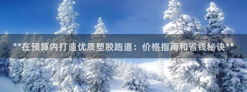 新2足球平台出租网站：**在预算内打造优质塑胶跑道：价格指南和省钱秘诀**