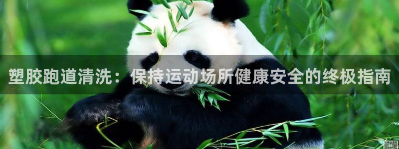 红足1世足球比分 localhost：塑胶跑道清洗：保持运动场所健康安全的终极指南