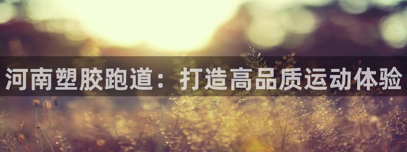 红足1世足球网址：河南塑胶跑道：打造高品质运动体验