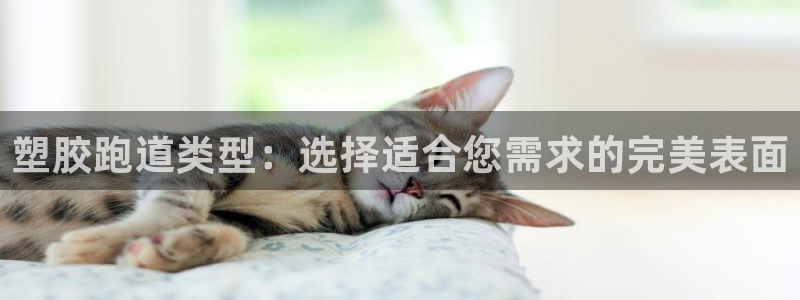 红足网足球直播：塑胶跑道类型：选择适合您需求的完美表面