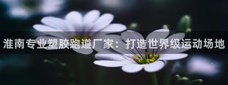 百度红足一1是为什么：淮南专业塑胶跑道厂家：打造世界级运动场地