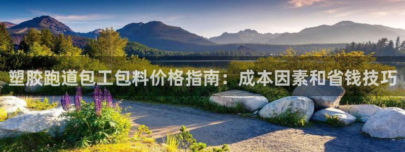 红足1世1站：塑胶跑道包工包料价格指南：成本因素和省钱技巧