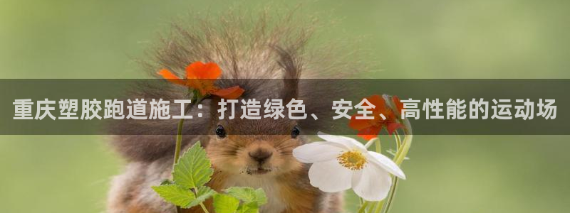 红足一1世666814最新结果：重庆塑胶跑道施工：打造绿色、安全、高性能的运动场