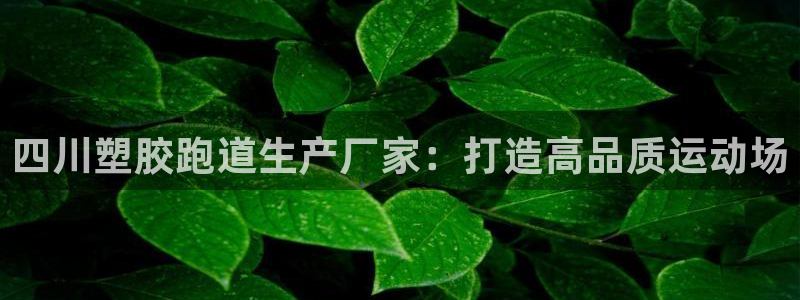 4633333开奖结果4176一点红：四川塑胶跑道生产厂家：打造高品质运动场