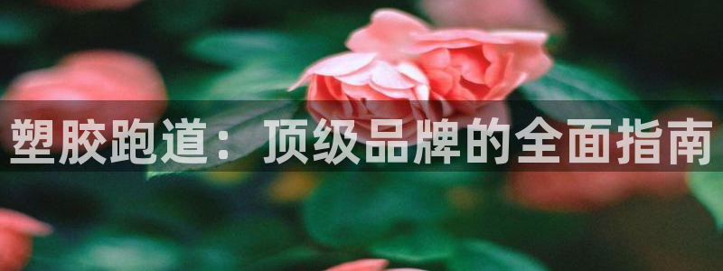 红足一1世皇冠登录：塑胶跑道：顶级品牌的全面指南