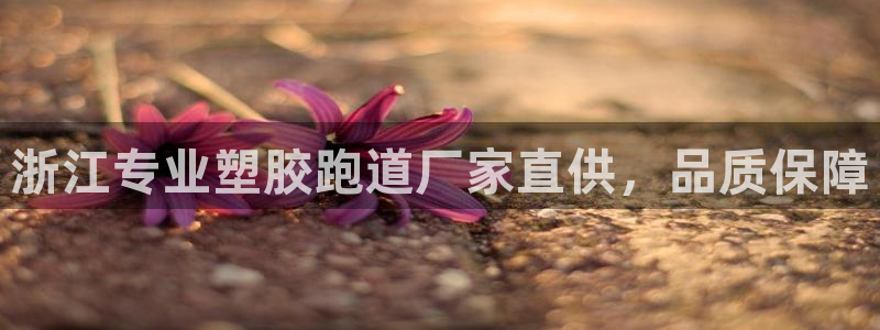 红世一足球比分：浙江专业塑胶跑道厂家直供，品质保障