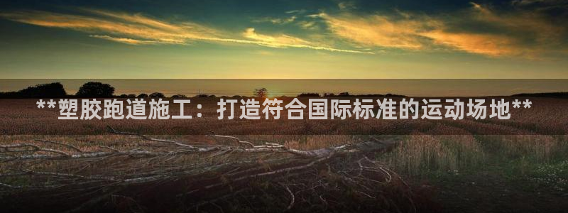 百度红足一1是为什么：**塑胶跑道施工：打造符合国际标准的运动场地**