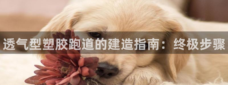 红足1世手机板：透气型塑胶跑道的建造指南：终极步骤