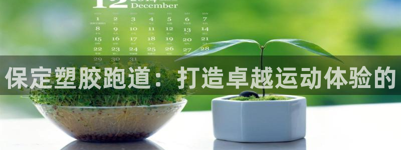 红足一一世：保定塑胶跑道：打造卓越运动体验的