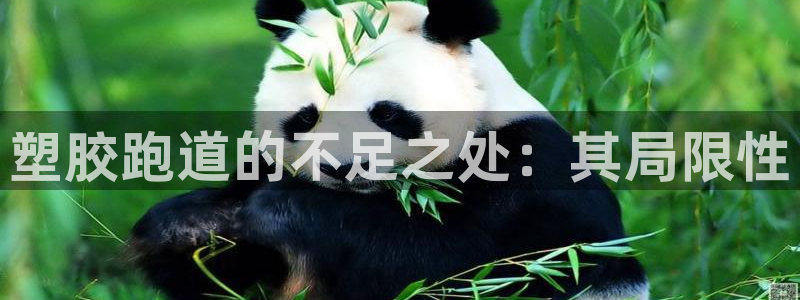 红足一1世手机皇冠：塑胶跑道的不足之处：其局限性