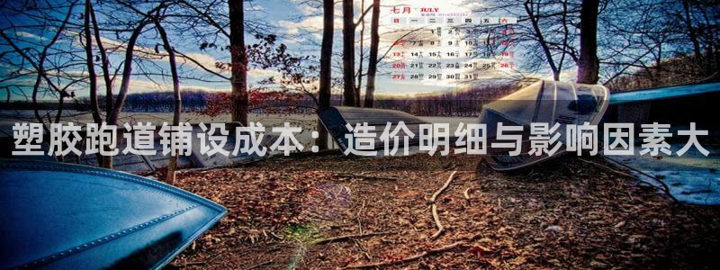 红足一1世比分网：塑胶跑道铺设成本：造价明细与影响因素大
