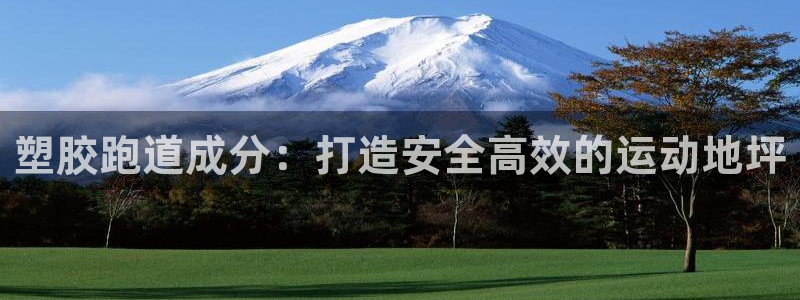 4633333开奖结果4176一点红：塑胶跑道成分：打造安全高效的运动地坪