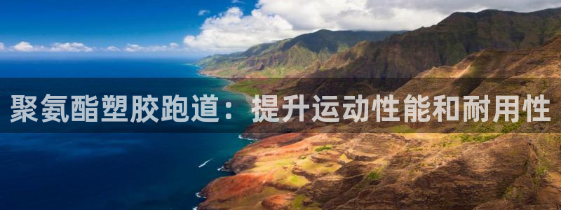 百度红足一1是为什么：聚氨酯塑胶跑道：提升运动性能和耐用性