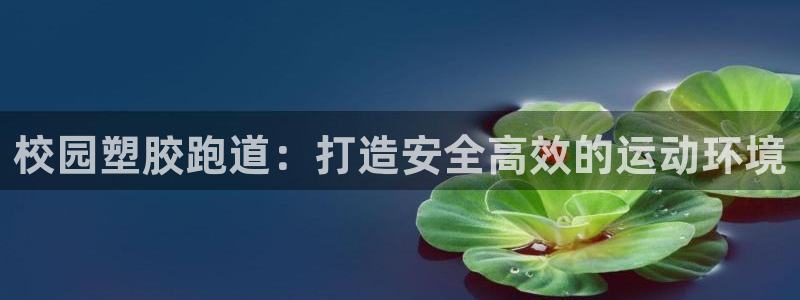 红足1世手机板：校园塑胶跑道：打造安全高效的运动环境