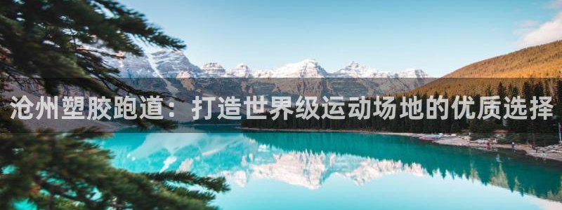 红足一1世开奖记录：沧州塑胶跑道：打造世界级运动场地的优质选择