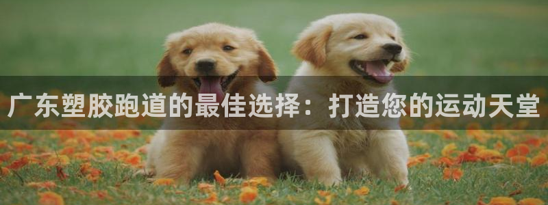 红足一1世比分：广东塑胶跑道的最佳选择：打造您的运动天堂
