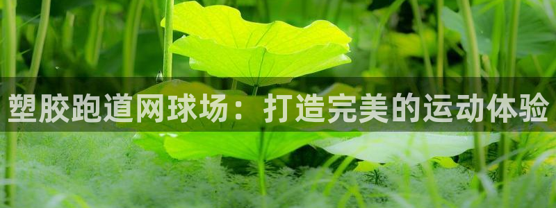 红足1世手机版下载