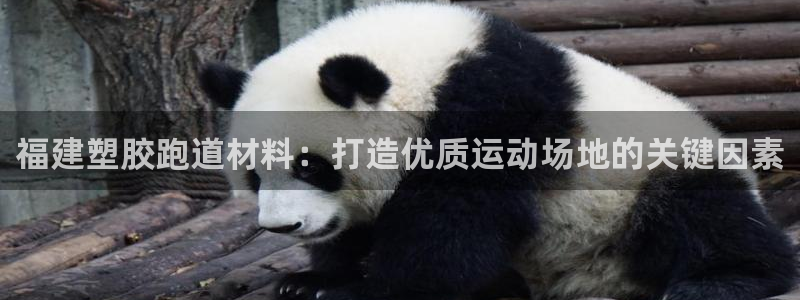 红足一1世手机皇冠