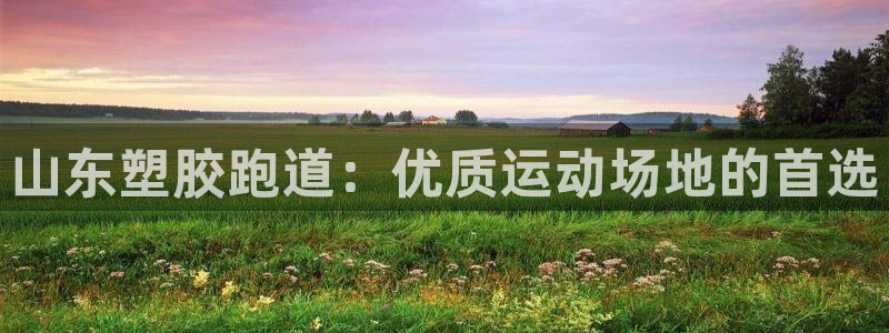 红足1世手足球比分