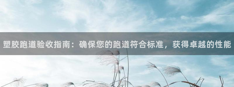 红足一1世比分网：塑胶跑道验收指南：确保您的跑道符合标准，获得卓越的性能