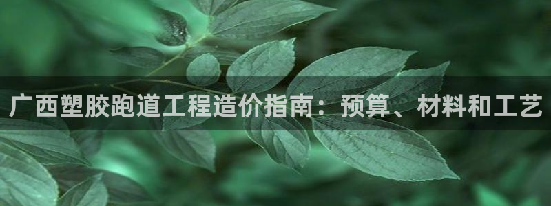 红足一生世：广西塑胶跑道工程造价指南：预算、材料和工艺