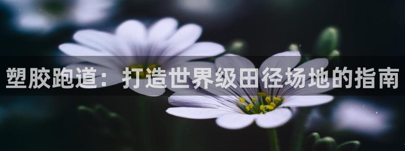 红足一丰